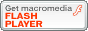 get flash plug in